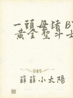 一头母猪 BY 黄金圣斗士