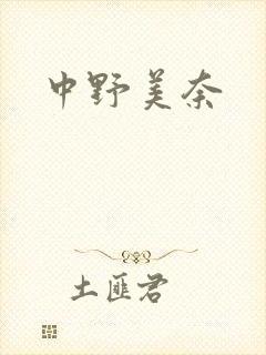 中野美奈封面