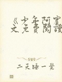 《少年阿宾》全文免费阅读封面