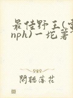 最佳野王(电竞nph)一坨薯饼