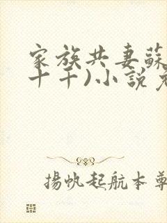 家族共妻苏苏(十千)小说免费