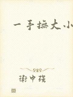 一手抚大小说