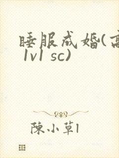 睡服成婚(高h 1v1 sc)
