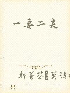 一妻二夫