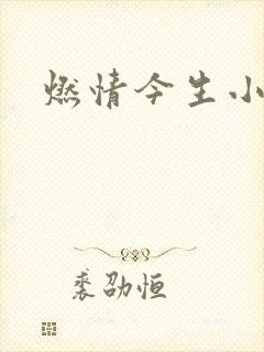燃情今生小说