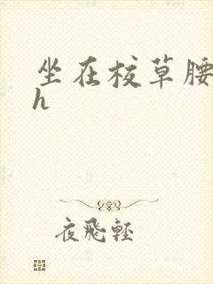 坐在校草腰上动h