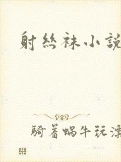 射丝袜小说