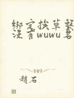 绑定挨草系统后没有wuwu名字