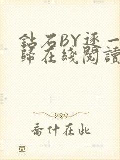 钻石BY逐一而归在线阅读