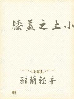 膝盖之上小说封面