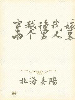 穿越后我嫁给了两个男人暮色酒歌