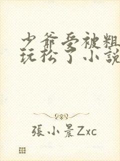 少爷受被粗汉H玩松了小说