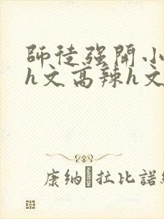 师徒强开小嫩苞h文高辣h文封面