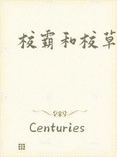 校霸和校草封面