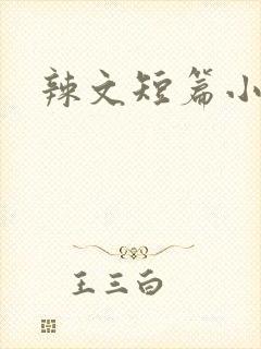 辣文短篇小说封面