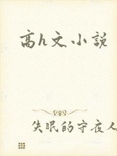 高h文小说