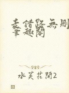 走错路无删减版笔趣阁封面