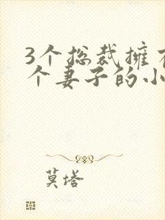 3个总裁拥有一个妻子的小说封面