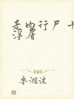 走肉行尸 十阶浮屠封面