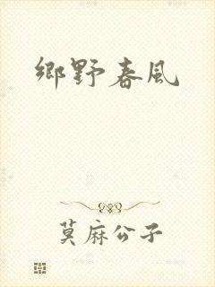 乡野春风封面