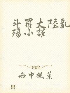 斗罗大陆乱世浮殇小说