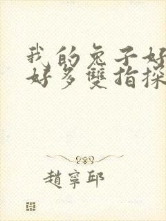 我的兔子好软水好多双指探洞小说