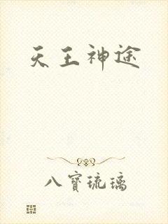 天王神途封面