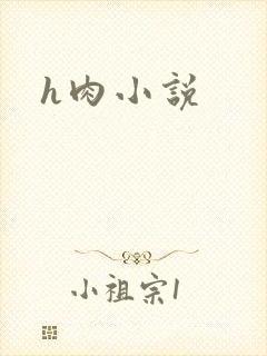 h肉小说