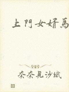 上门女婿马四辈封面