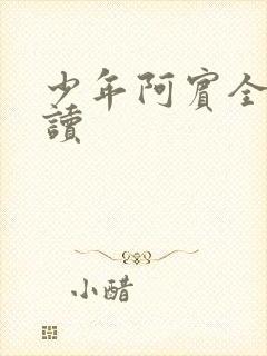少年阿宾全集阅读