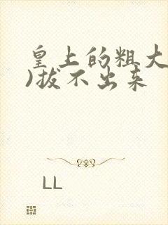 皇上的粗大(h)拔不出来封面