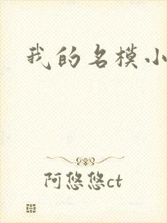 我的名模小娇妻