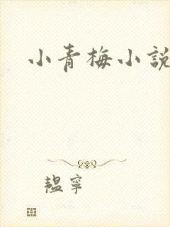 小青梅小说