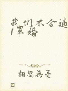 我们不合适1v1军婚封面