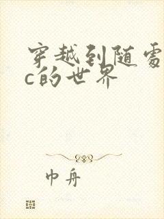 穿越到随处可以c的世界