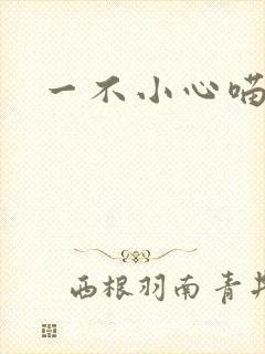 一不小心喵上你封面