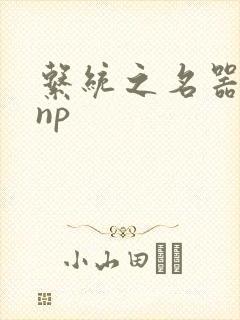 系统之名器攻略np封面