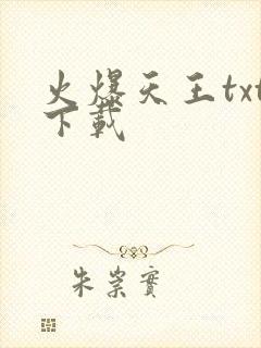 火爆天王txt下载