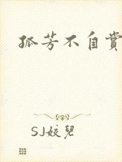 孤芳不自赏小说封面