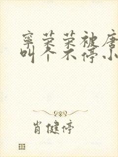 宁荣荣被唐三桶叫个不停小说