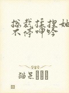 总裁揉捏她两乳不停呻吟