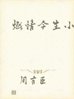燃情今生小说
