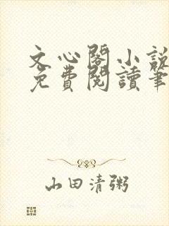 文心阁小说全文免费阅读笔趣阁