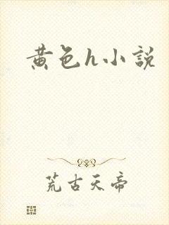 黄色h小说