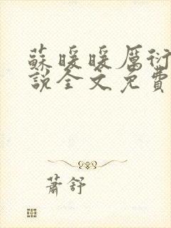 苏暖暖厉衍琛小说全文免费阅读