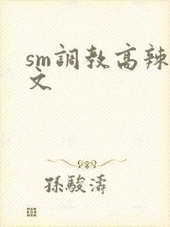 sm调教高辣h文封面