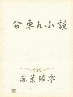 公车h小说