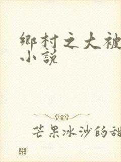 乡村之大被同眠小说封面