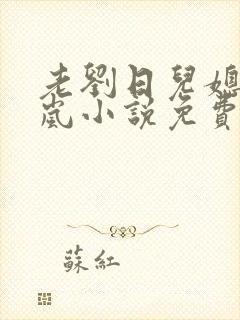 老刘日儿媳妇张岚小说免费阅读