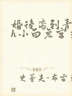 婚后脔到青梅哭h小白兔宫交h